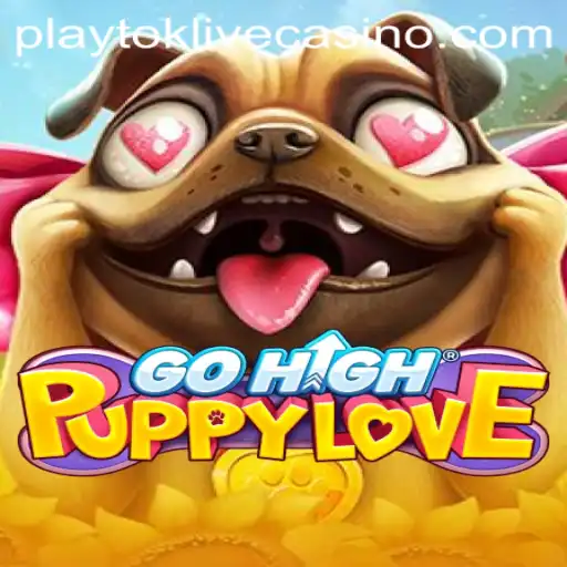 Discover the Exciting World of GoHighPuppyLove and PlayTok