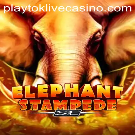 Unleashing the Thrill: Discovering ElephantStampedeSE and the Rise of Playtok
