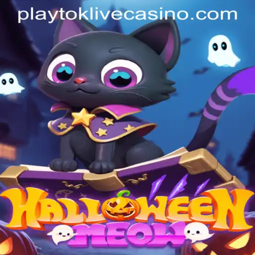 Exploring HalloweenMeow and the Rise of Playtok